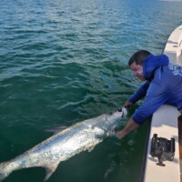 Kingfish caught off the coast of Jacksonville, Florida Kingfish caught off the coast of Jacksonville, Florida